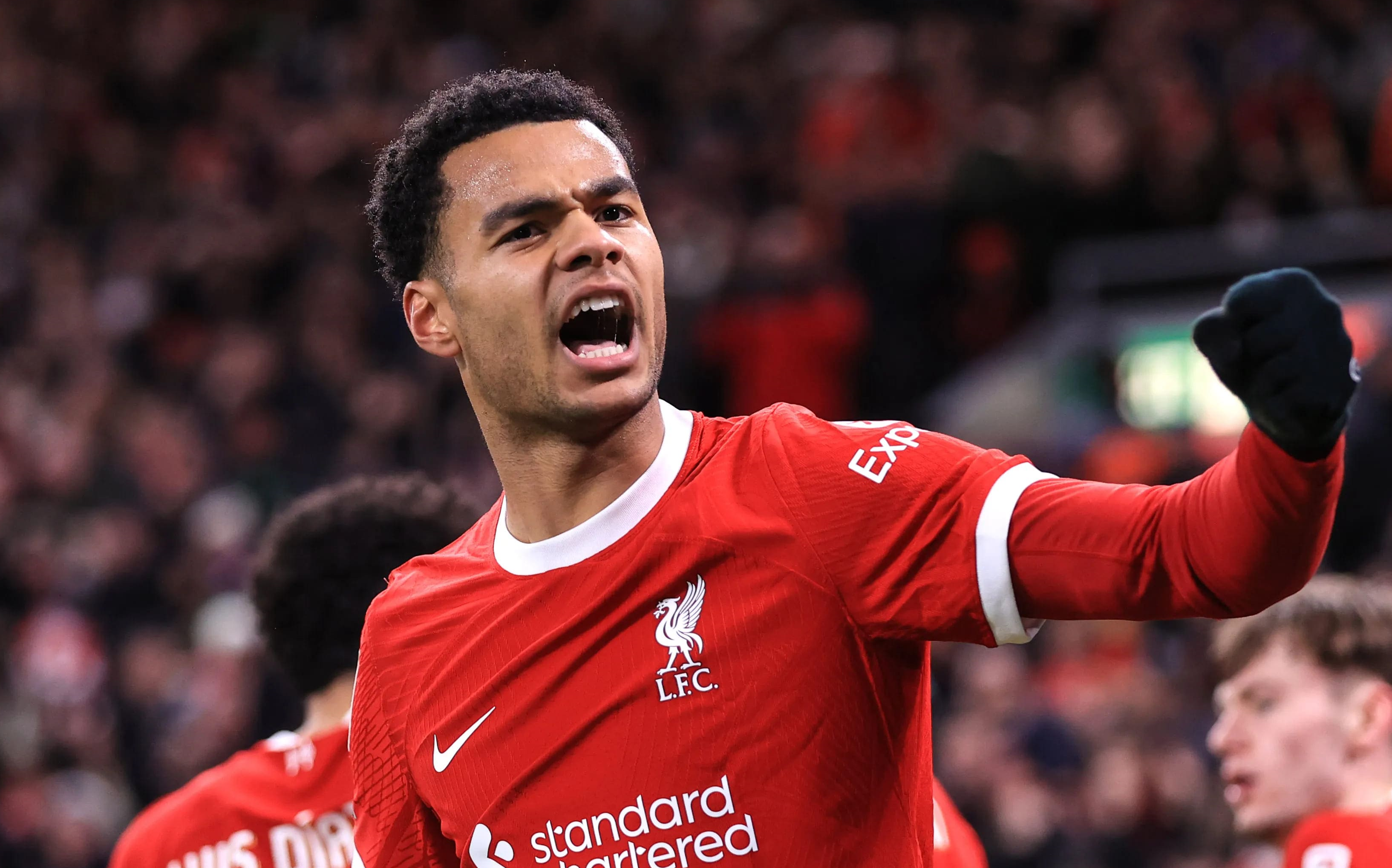 华体会网址-关于利物浦后卫表现亮眼，成为球队中流砥柱的信息