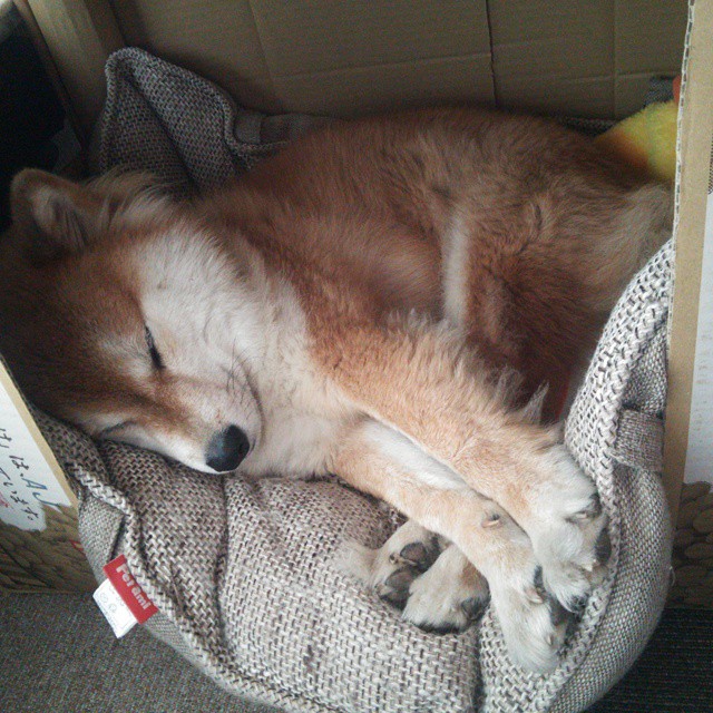 华体会登录-当绿茵场的节奏大师，踏上NBA总决赛之夜